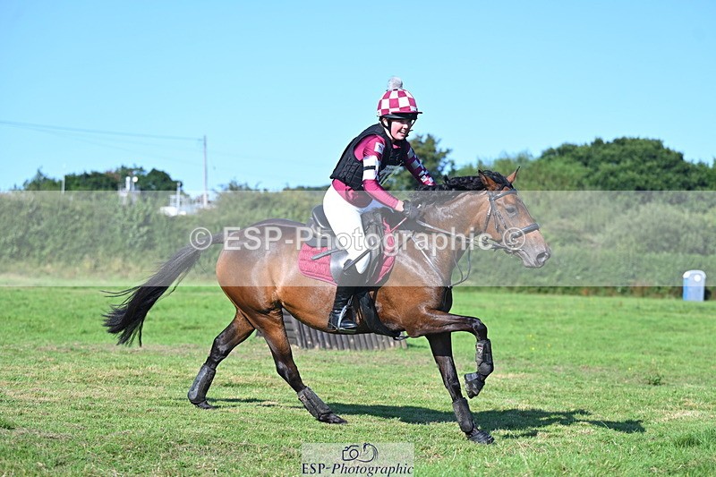 240811A-172558-07612 - 463-