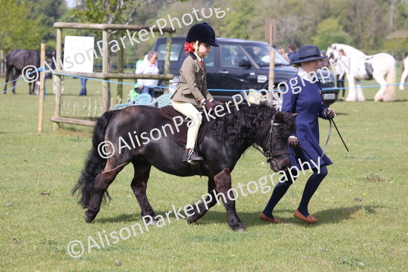 20260426-0595 - Class 31 - Leading Rein
