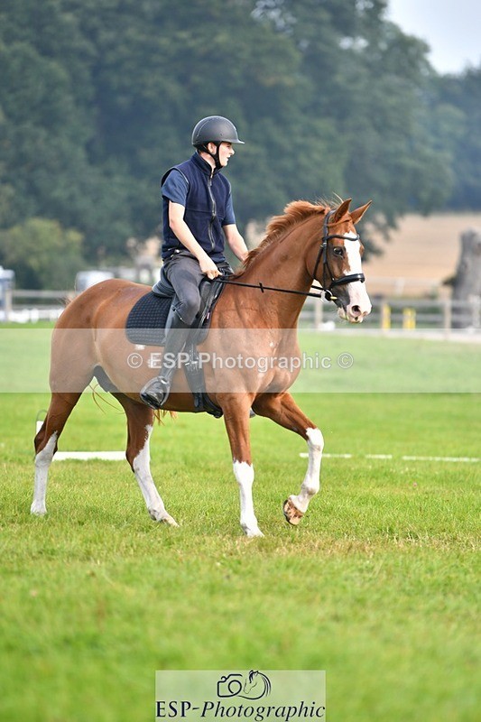 230817-092054-02536 - Abbie's 1st Group - Dressage
