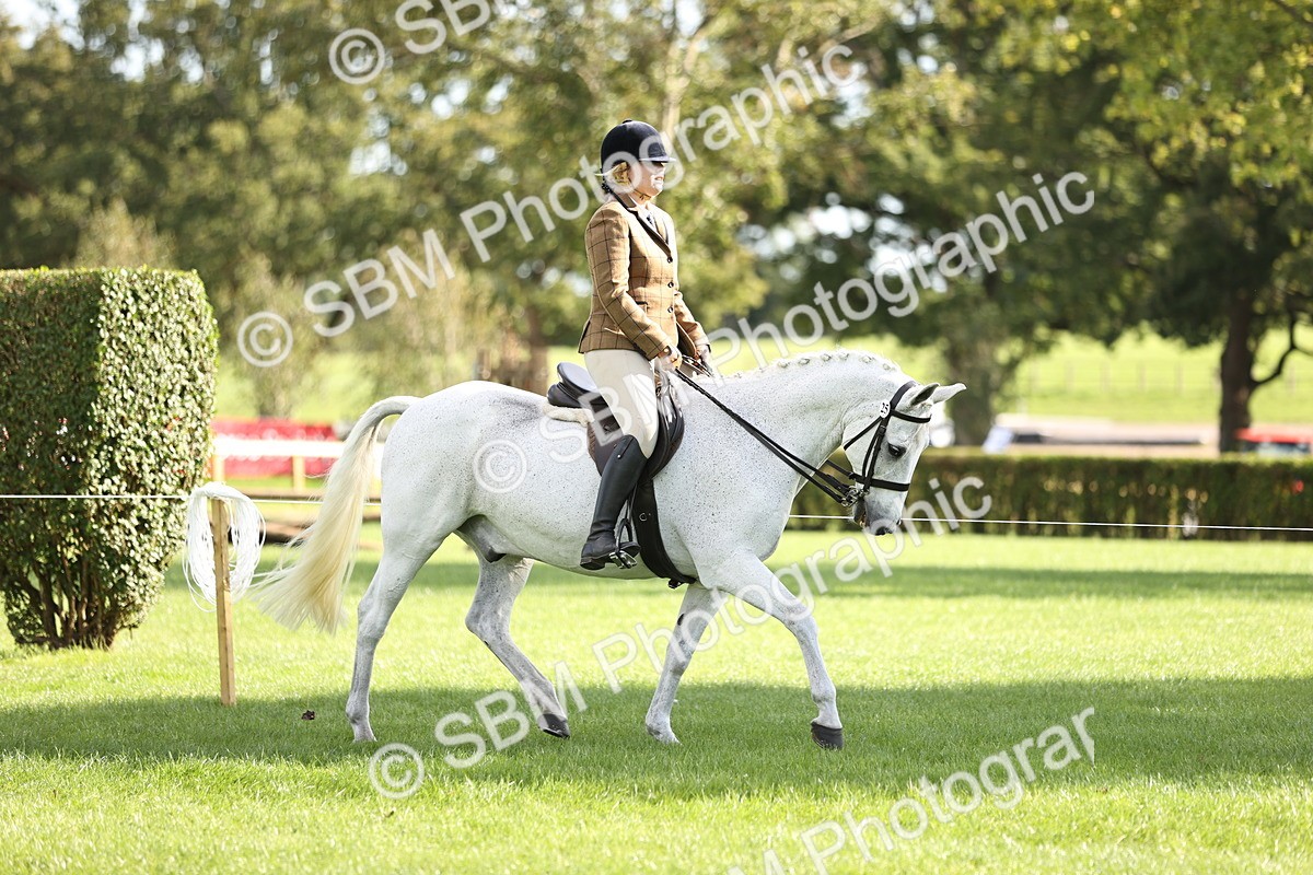 SBM_26361 - S6 - Novice & Newcomers Ridden Horse