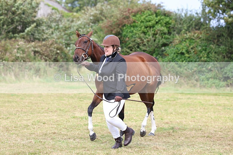 3E7A5554 - Class 20: Sports Horse In Hand