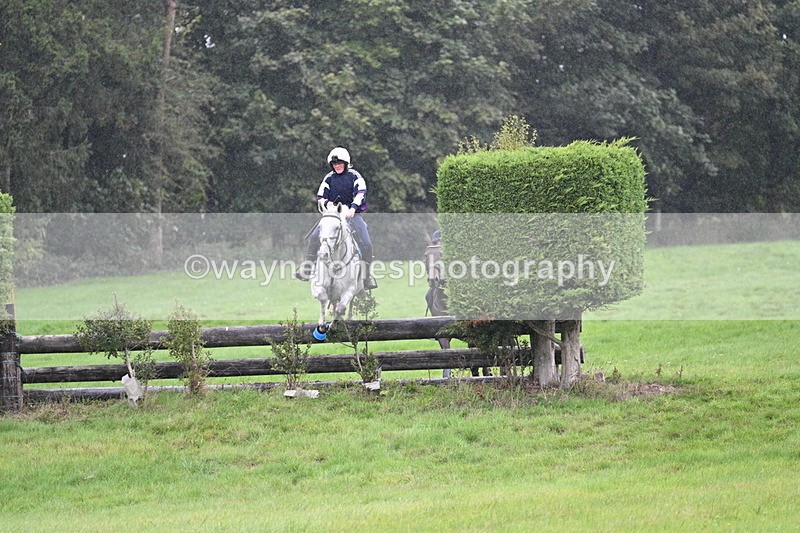 WJ7_9114 - Time 13:31 to 14:00