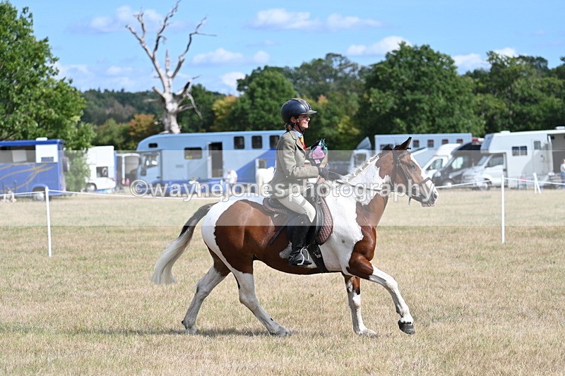 WJ7_7422 - Class 14 Ridden Coloured