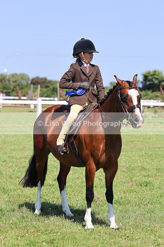 IMG_2059 - Class 34: Show Hunter Pony 153cm and under