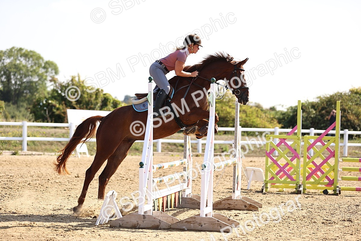 SBM_005608 - Class 9 - Senior British Novice - 90cm