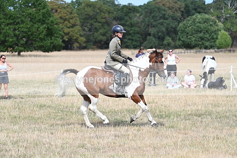 WJ7_7025 - Class 14 Ridden Coloured