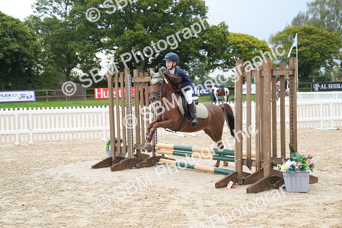 SBM_00041 - J53 - Clear Round 40cm