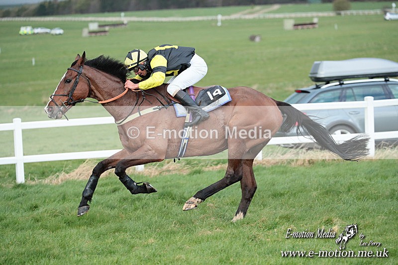 PtP 230324 898 - Tedworth Hunt PtP Larkhill Raccourse 23rd March 2024