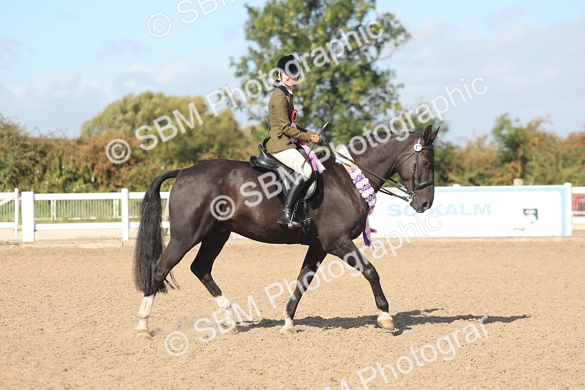 SBM_22696 - Class 805 - Ridden Veteran Horse