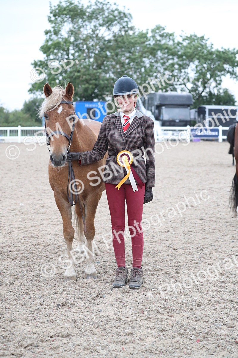 SBM_18415 - Class 318 IH Part bred Horse/Pony