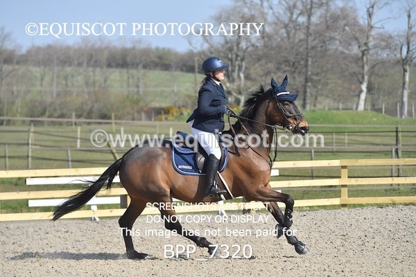 BPP_7320 - CLASS 2 Senior British Novice/ 90cm Open