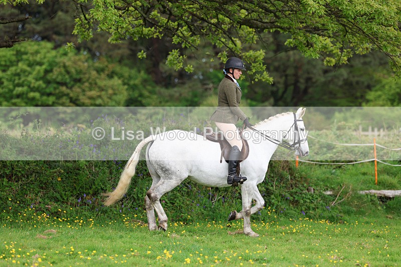 3E7A1118 - Class 7: Ridden Hunter Type