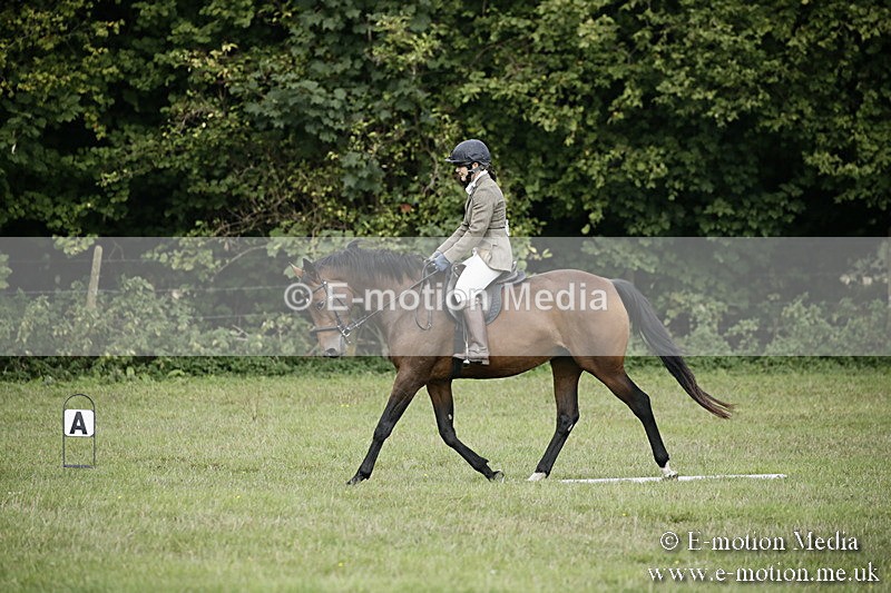 BVR090918 39 - BVRC Dressage and Show Jumping 09/09/18