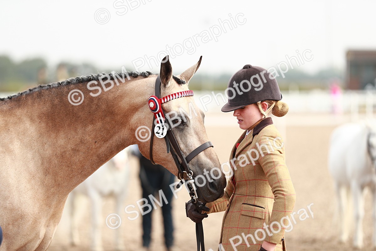 SBM_10530_Class 204 - Young Handler 11 to 16 Years - Cart - Laura