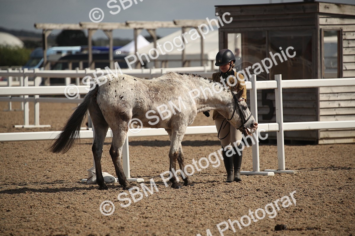 SBM_23400 - Class 604 - 2026 - Area IH Diamond