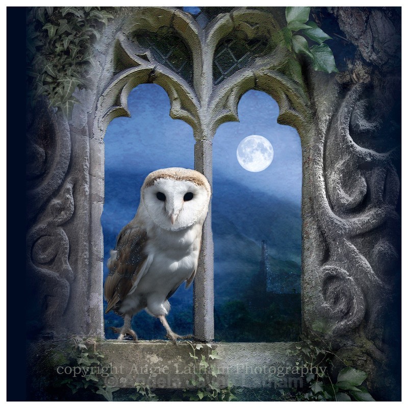 AS005 Evening Falls - Magic & Mystery