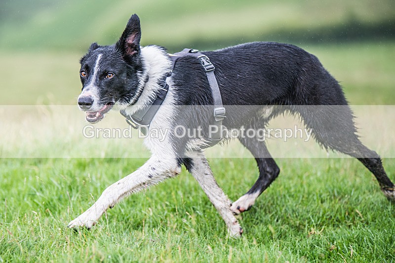 Skiddaw-1076 - Skiddaw Fell Race Sunday 6th July 2025