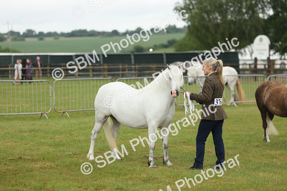 SBM_01612 - Class 50-57 - M&M Welsh Pony In Hand