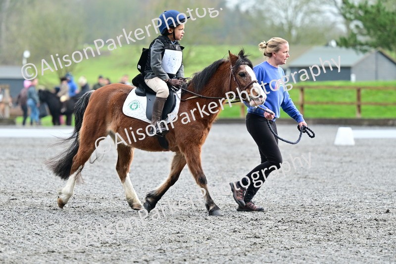 20260125-0959 - Class 9a - Walk Trot Assisted