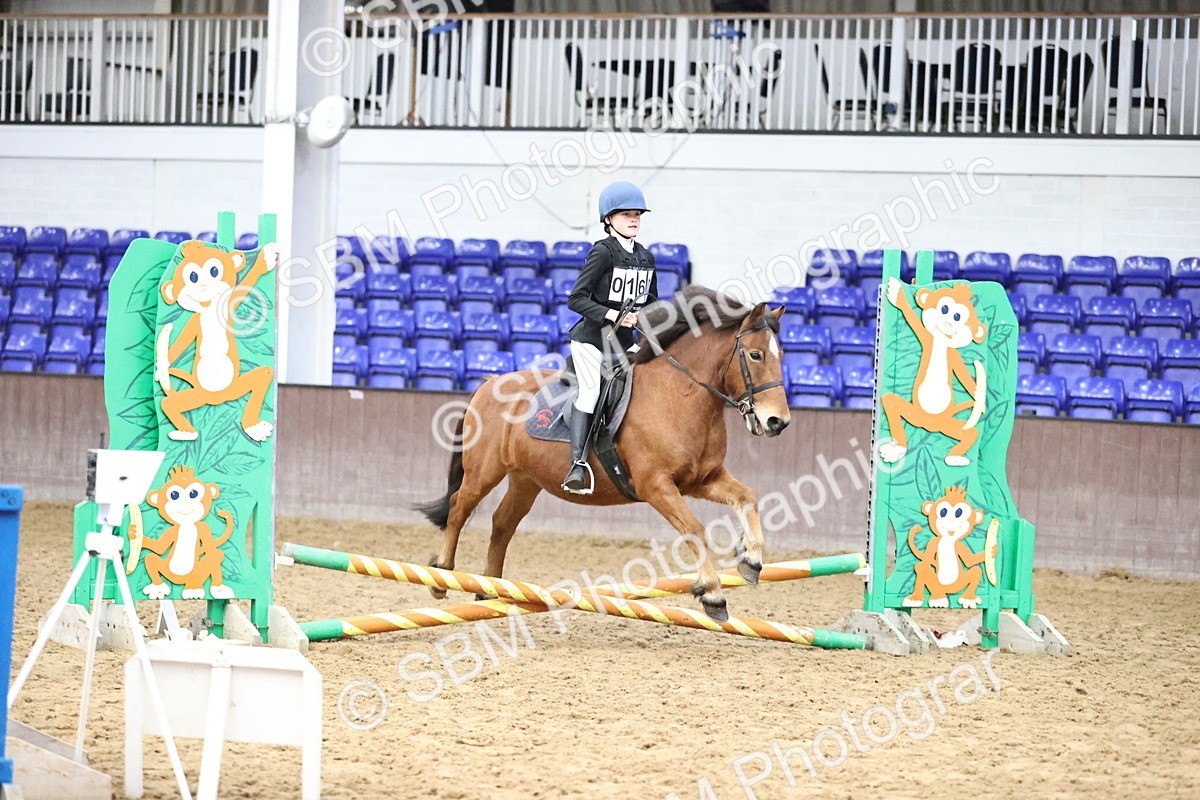 SBM_000150 - Class 2 - The Rug Lady 40cm Area 12 Championship Qualifier