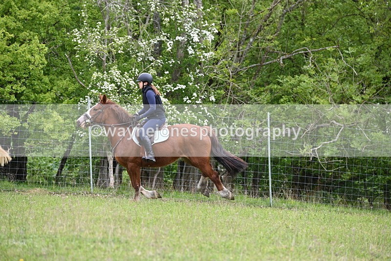 WJ6_1578 - Group 4 A&B Cameras