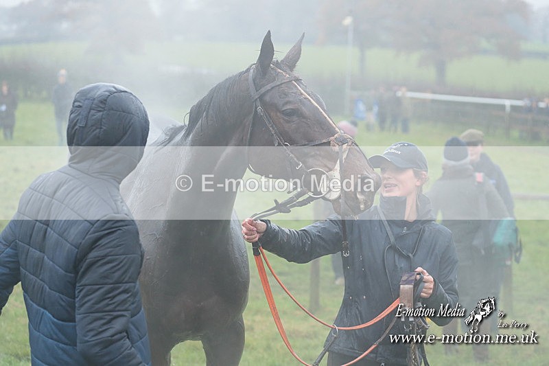 PtP 031223 288 - Wheatland Hunt PtP Chaddesley Races 03/12/23