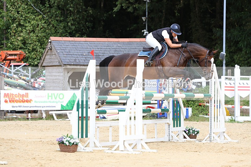 3E7A4424 - Class 8: Senior Foxhunter/1.20 open