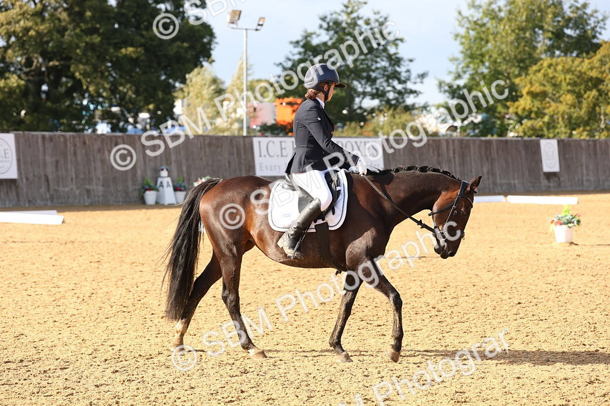 SBM_50489 - D12 - Small Tour Championship prelim 2