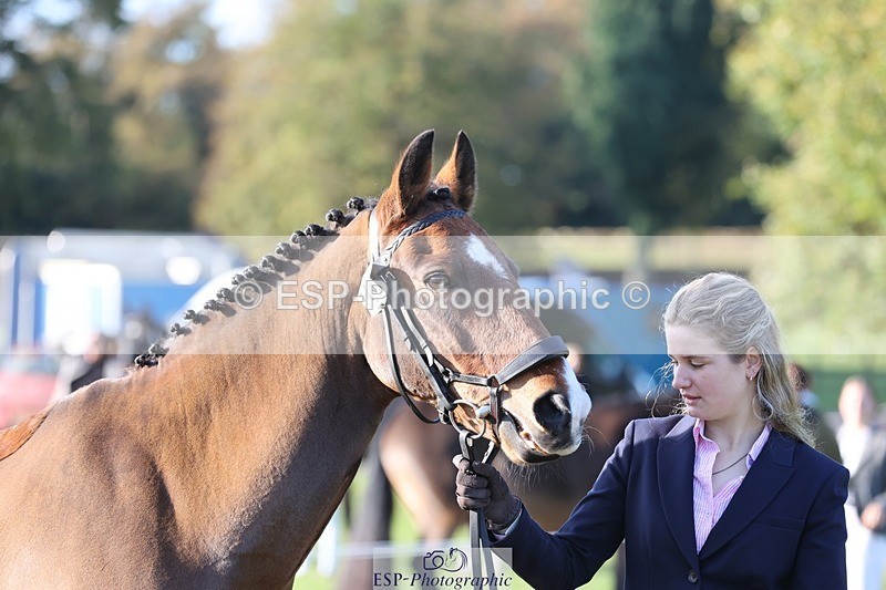 241027-094000-15430 - 450-Erin.Dovey-MONEYHILLS.PAGEANT