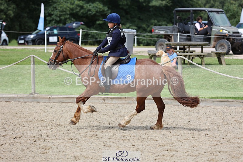 240823X-130237-17066 - 60cm R1 11.30 to 13.30