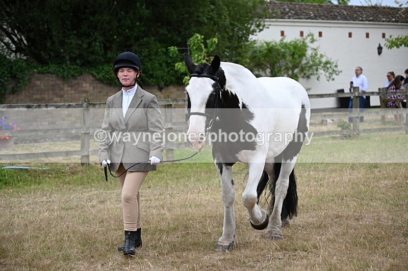 WJ6_8023 - Class 10 Coloured in Hand