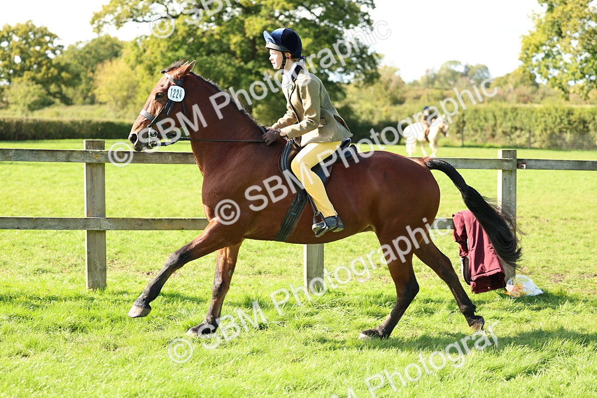 SBM_45497 - S33 - Working Hunter Pony