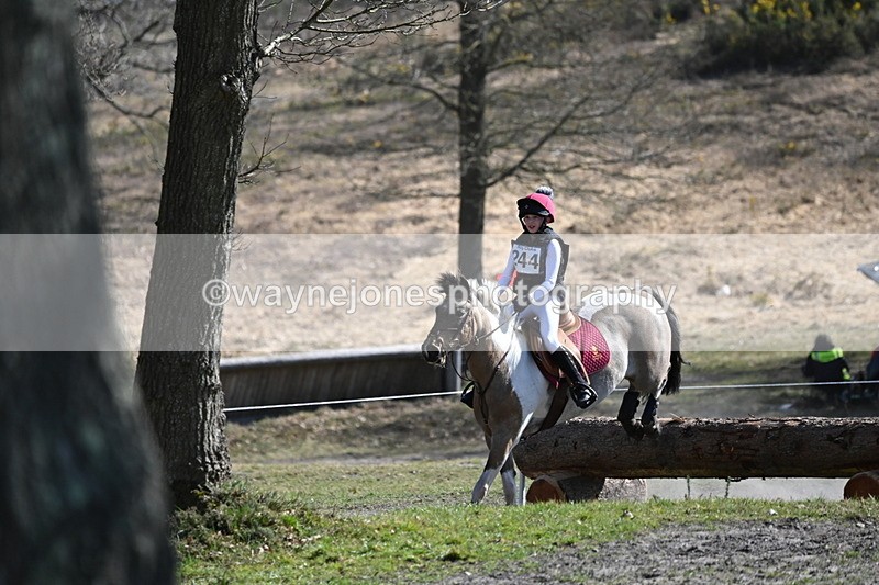 WJ6_3763 - Time 12:36 to 12:55