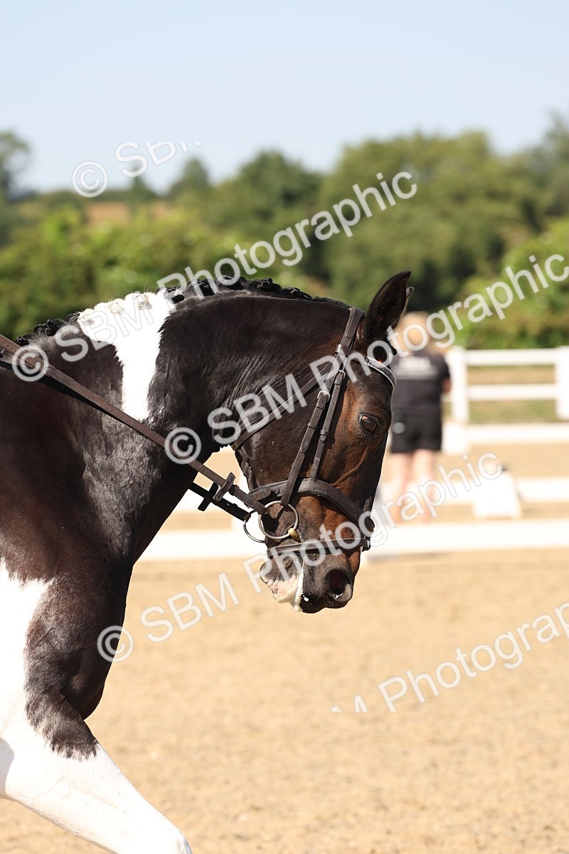 SBM_006490