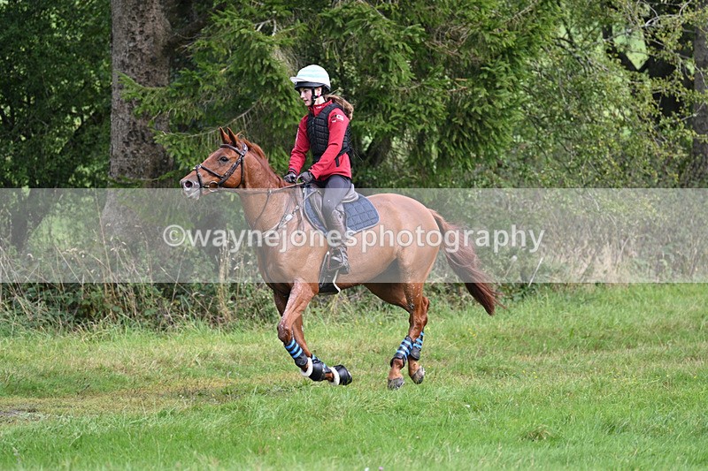 WJ7_7841 - Time 13:50 to 14:03