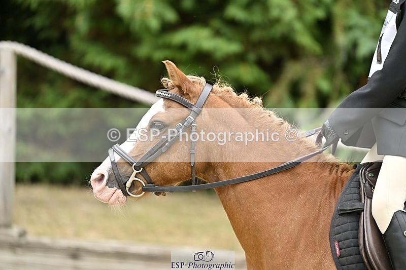 250820A-114930-03878 - Round 1, 11am to End