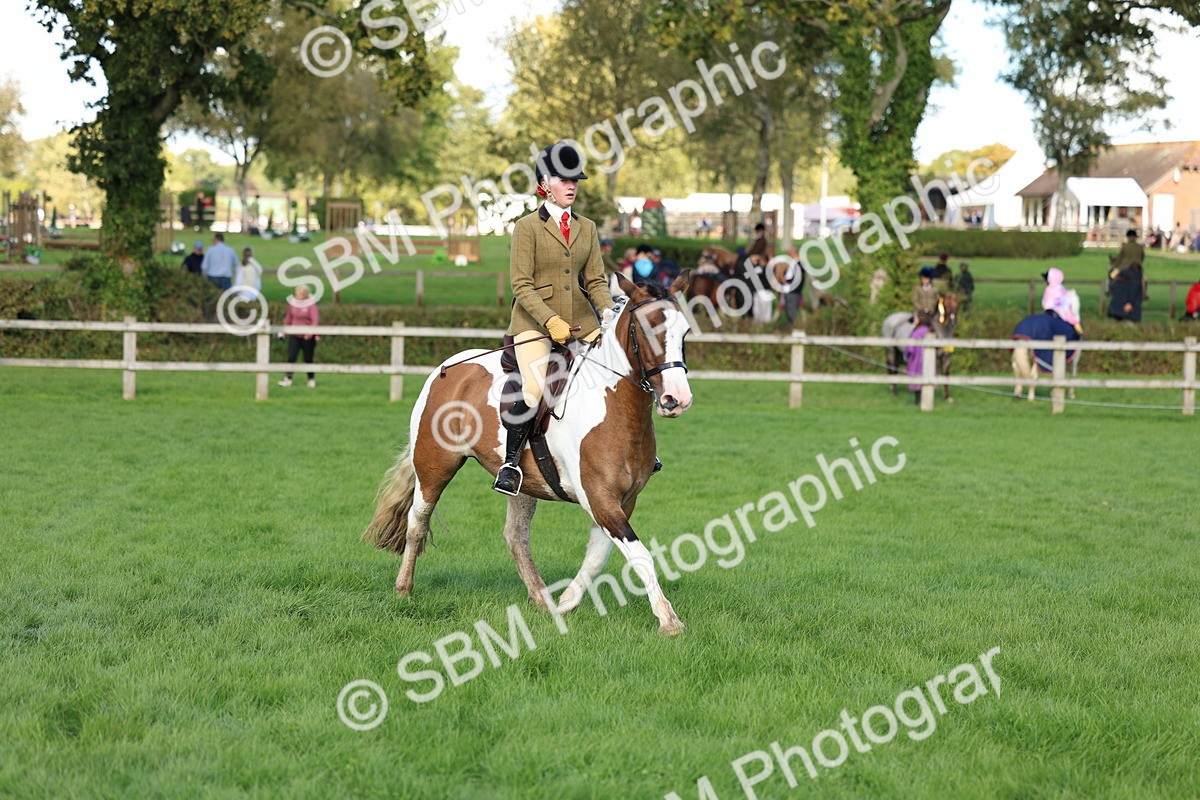 SBM_45487 - S33 - Working Hunter Pony