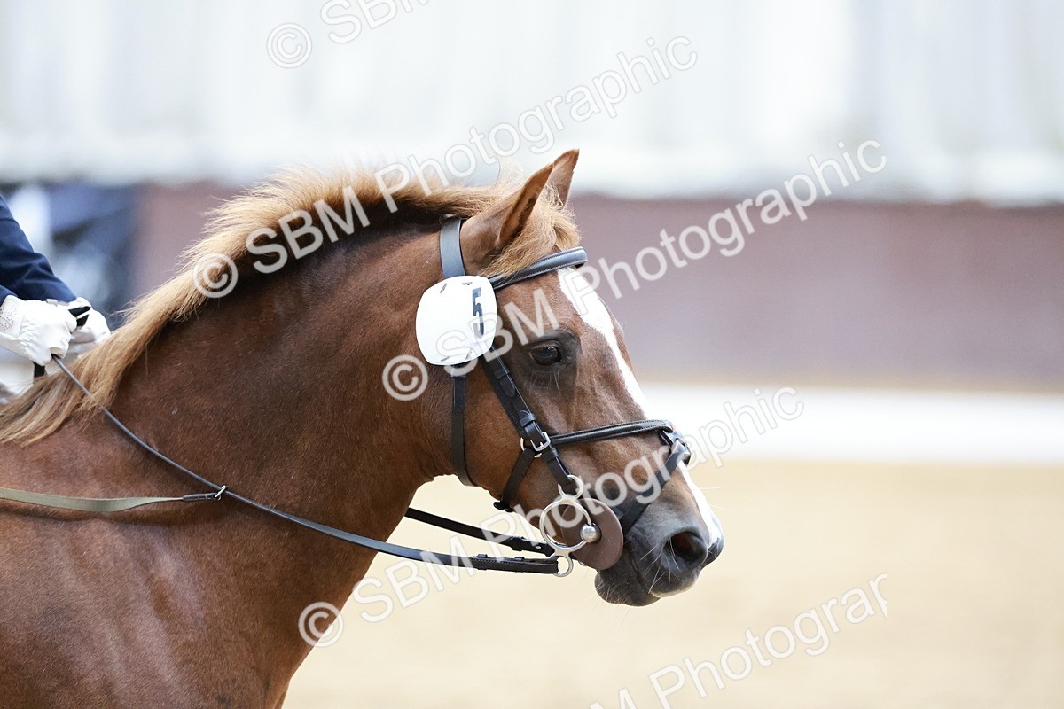 SBM_003068 - class 1 - Intro 2