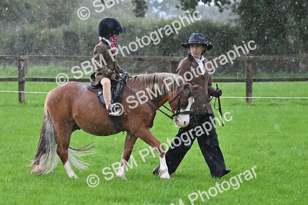 SBM_36443 - S18 - Novice & Newcomer Lead Rein Pony