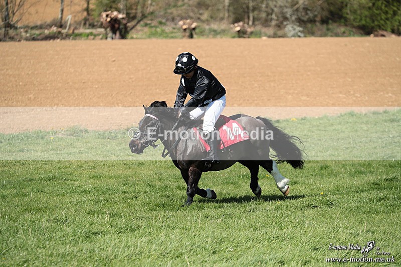 Shet 060426 322 - Shetland Pony Racing Paxford Races Easter Mon 06/04/26