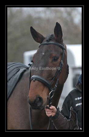 QT-120aw - Equestrian Images