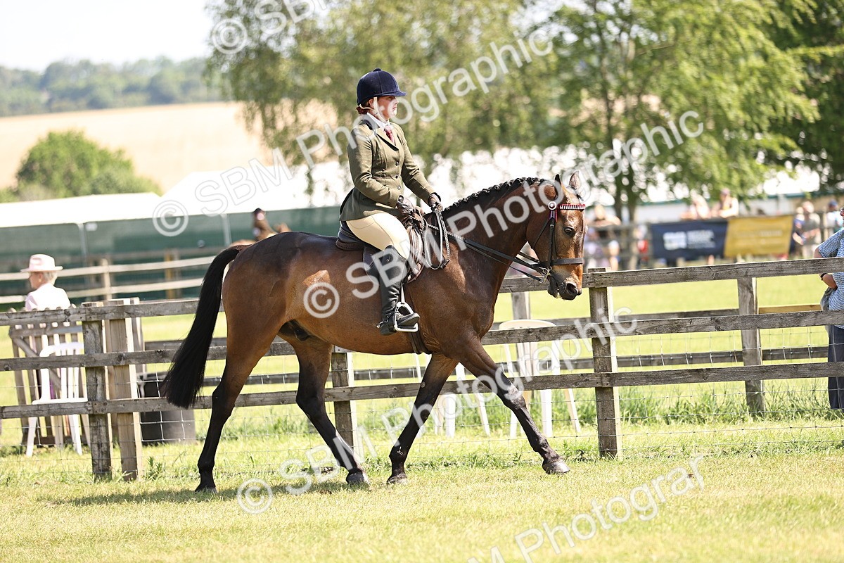 SBM_13065 - Class 75-76 LIHS BSHA Rising Star Hack Riding Horse