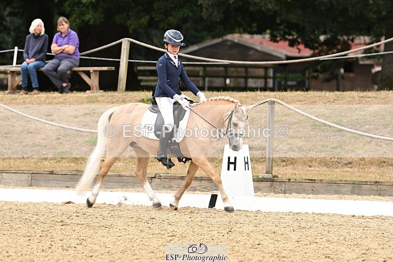 250808A-114200-00670 - 155-Rose.Cassapi-Westfirle.Golden.Oriole