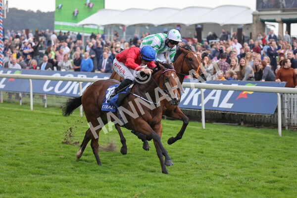 yr09102021r2-16 - Race 2 2.02pm Coral Beaten-By-A-Length Free Bet Rockingham Stakes