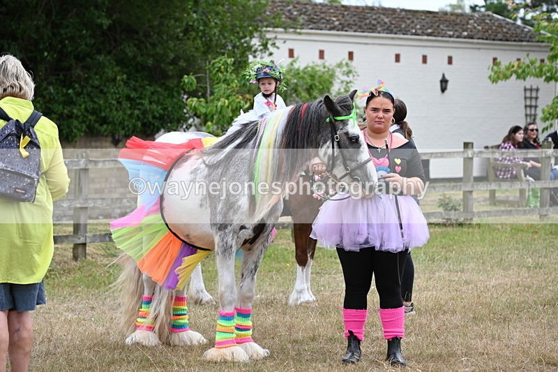 WJ6_9139 - Class 11 Fancy Dress