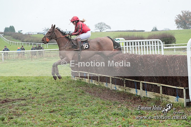 PtP 031223 701 - Wheatland Hunt PtP Chaddesley Races 03/12/23