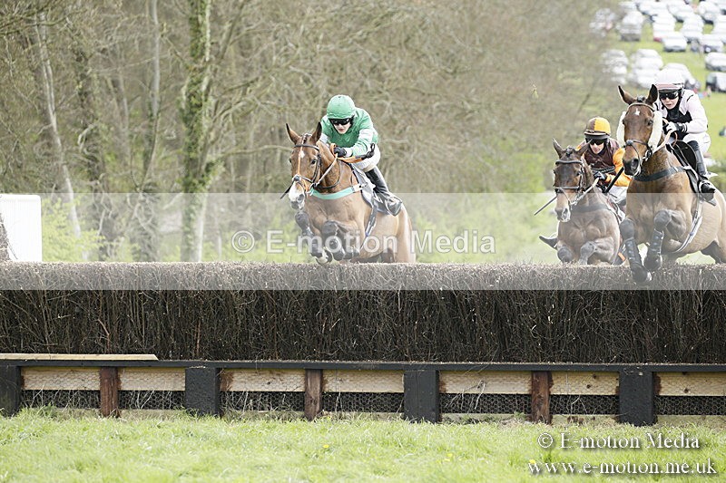 PtP 170417 165 - Old Berks Point-to-Point Lockinge 17/04/17