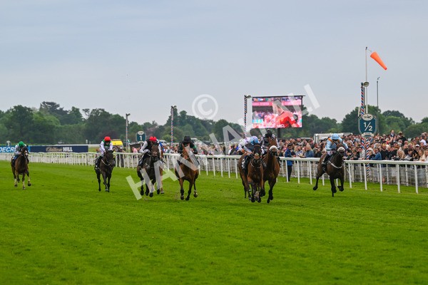 250524-Race 4-Term Of Endearment-3556 - Race 4 3.20pm William Hill Bronte Cup Fillies' Stakes