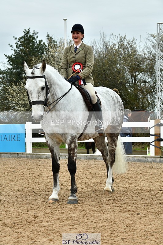 230416A-142359-05115 - Cls 67 Ridden Show Hunter