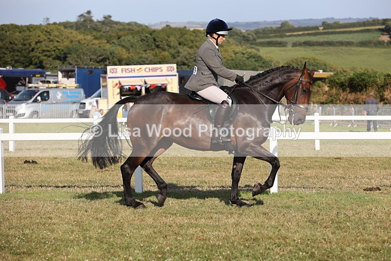 JPP_3272 - Class 21: Working Hunter 80cm